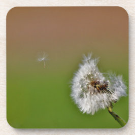 blasen getränkeuntersetzer