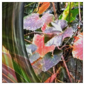 Blasen im Herbst...... Stoff (Muster)