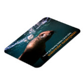 Blasen im Meer unter Wasser Magnet (Linke Seite)