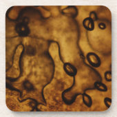 Blasen in Bernstein gefroren Untersetzer (Vorderseite)