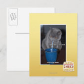 Blasen in unserer Milch Postkarte (Vorne/Hinten)