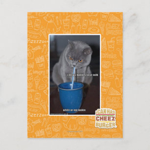 Blasen in unserer Milch Postkarte