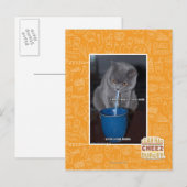 Blasen in unserer Milch Postkarte (Vorne/Hinten)