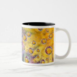 Blasen mit Blume abstrakt. Kredit als:Nancy Zweifarbige Tasse