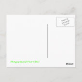 Blasen Postkarte (Rückseite)