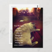 Blasen Schlaf am Feuer Postkarte (Vorne/Hinten)