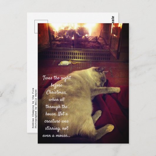 Blasen Schlaf am Feuer Postkarte (Vorne/Hinten)