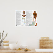 Blasenmeridian Akupunkturpunkte Poster (Küche)