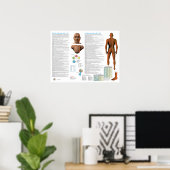 Blasenmeridian Akupunkturpunkte Poster (Heimbüro)