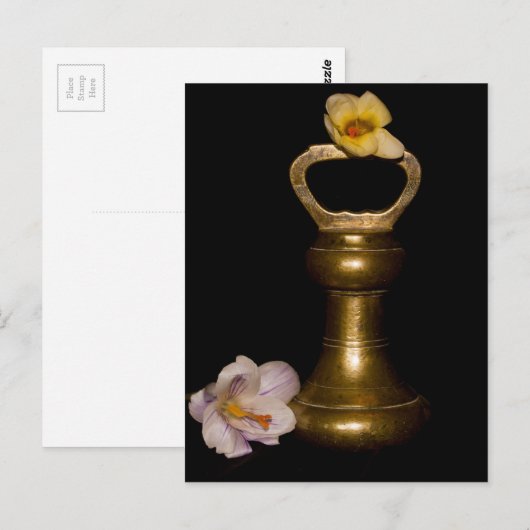 Bläserattraktion Postkarte (Vorne/Hinten)