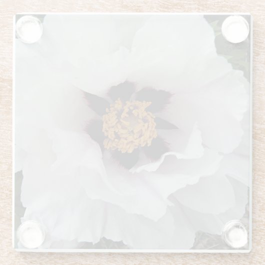 Bläserblume Glasuntersetzer (Rückseite)