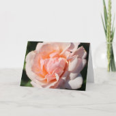 Bläsernblank innen Hübscher Pfirsichpfirsichfarben (Vorderseite)