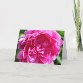 Bläsernblank Inside Hübsch rosa Elegant geklappt (Vorderseite)