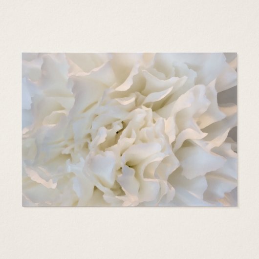 Bläserne Hochzeitskarte mit weißer Nelke - Wohltät (Rückseite)