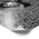 Blasmusikinstrumente Fotodruck (Ecke)