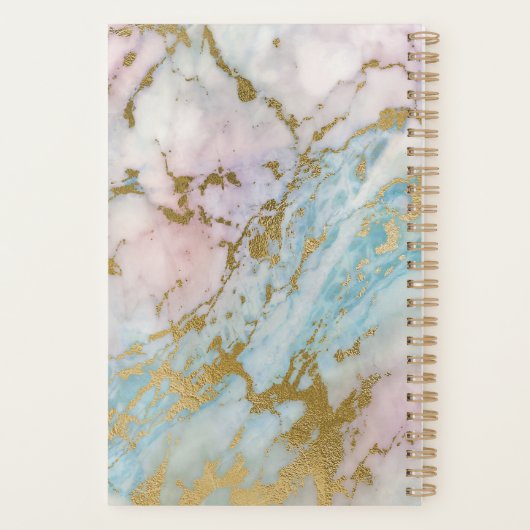 Blass-Marmor-Gold-Türkis-Monogramm Planer (Rückseite)