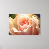 Blass Peach Rosen Wrapped Canvas Leinwanddruck (Vorderseite)
