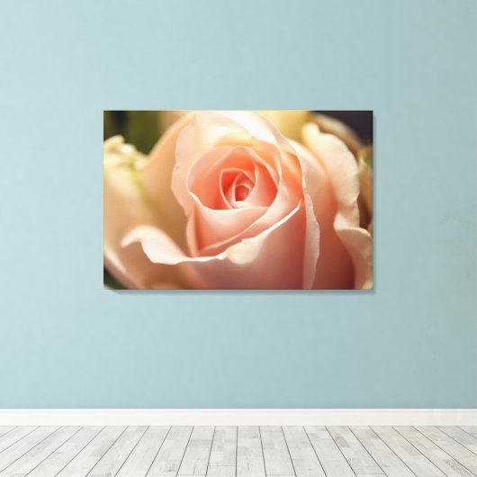 Blass Peach Rosen Wrapped Canvas Leinwanddruck (Insitu (Holzboden))