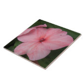 Blass Pink Impatians Blume Tile Fliese (Seite)