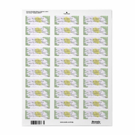 Blass Pink Painted Daisy (Vorne)