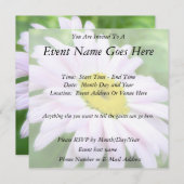 Blass Pink Painted Daisy Einladung (Vorne/Hinten)