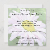 Blass Pink Painted Daisy Einladung (Vorderseite)