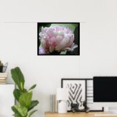 Blass Pink Peony Blossom Poster Prints (Heimbüro)