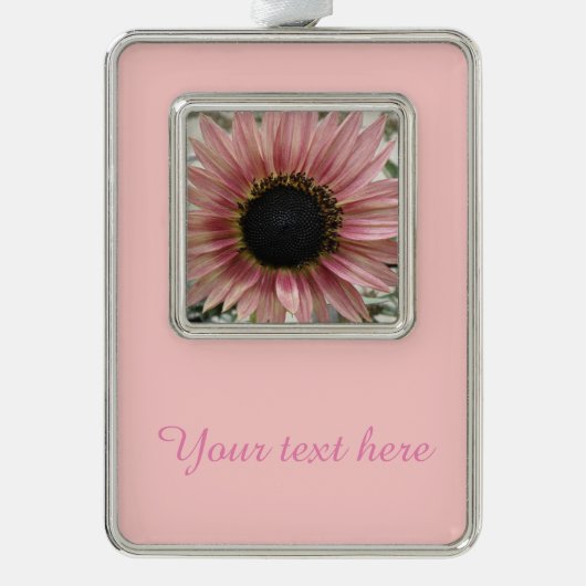 Blass Pink Sonnenblume Personalisiert Rahmen-Ornament Silber (Vorderseite)