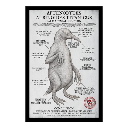 Blassabyssal Penguin (Miskatonic Antarktic Survey) Poster (Vorderseite)