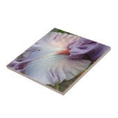 Blassbärtige Lila Iris Fliese (Seite)