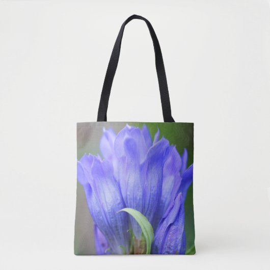 Blassblaue Gentian-Blume im Blut Tasche (Vorderseite)