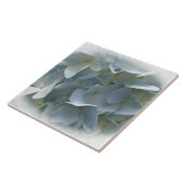 Blassblaue Hydrangea-Blume Fliese (Seite)