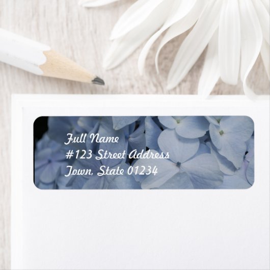 Blassblauer Hydrangea (Insitu)