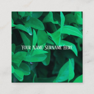 Blasse grüne Pflanzenblätter Natur Gefühl Visitenk Quadratische Visitenkarte