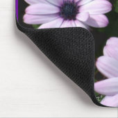 "Blasse lila Gänseblümchen " Mousepad (Ecke)