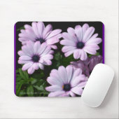 "Blasse lila Gänseblümchen " Mousepad (Mit Mouse)