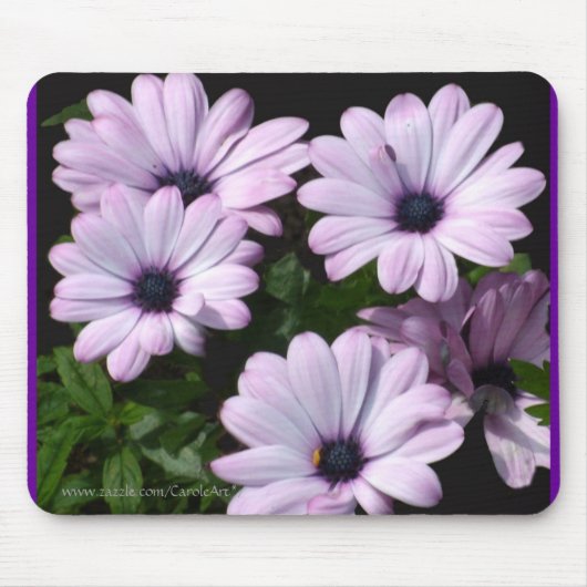 "Blasse lila Gänseblümchen " Mousepad (Vorne)