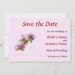 Blasse Magenta- und weiße Orchideen Save The Date