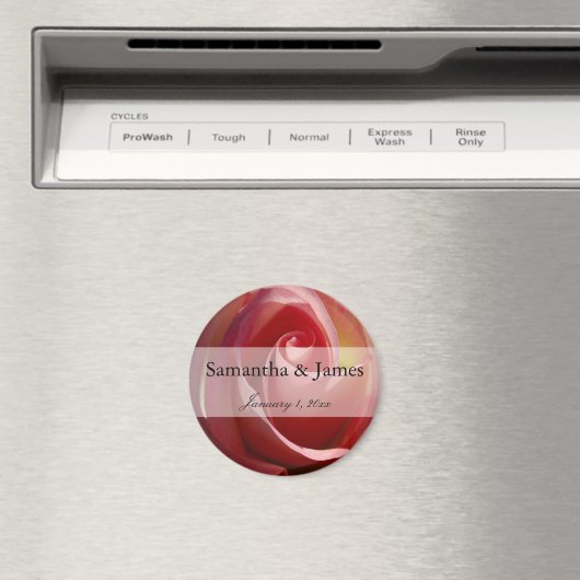 Blasse Mond-Rose Magnet (In Situ (Geschirrspüler))