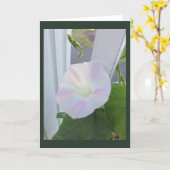 Blasse Opal-Prunkwinde Blanko Karte (Gelbe Blume)
