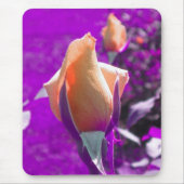 Blasse Orange Rose Knospen Mousepad (Vorne)