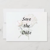 Blasse Pfingstrose und Knospe Save The Date (Rückseite)