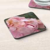 Blasse rosa Rose Getränkeuntersetzer (Linke Seite)