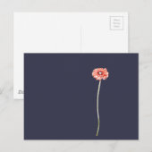 Blasse rote Gerbera-Blüte Postkarte (Vorne/Hinten)