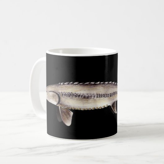 Blasser Stör - Scaphirhynchus albus Kaffeetasse (Vorderseite Links)