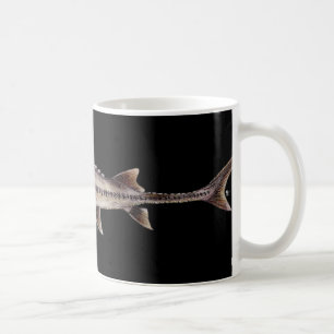 Blasser Stör - Scaphirhynchus albus Kaffeetasse