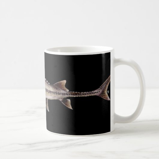 Blasser Stör - Scaphirhynchus albus Kaffeetasse (Rechts)