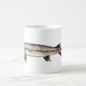 Blasser Stör - Scaphirhynchus albus Kaffeetasse (Mittel)