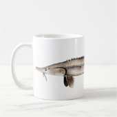 Blasser Stör - Scaphirhynchus albus Kaffeetasse (Links)