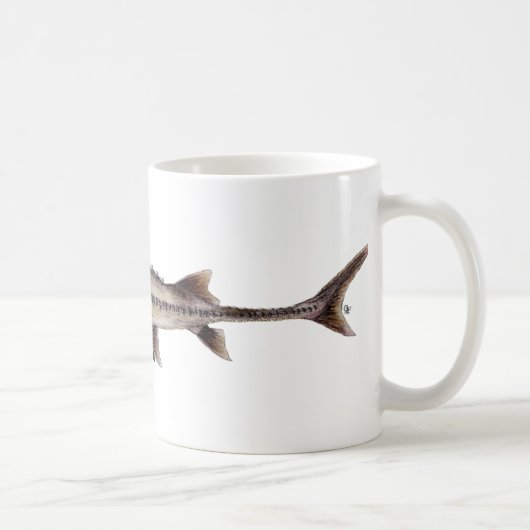 Blasser Stör - Scaphirhynchus albus Kaffeetasse (Rechts)